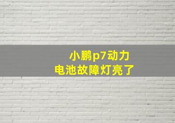 小鹏p7动力电池故障灯亮了