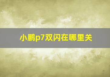 小鹏p7双闪在哪里关