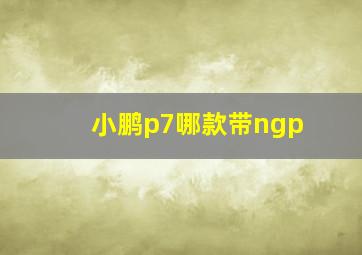 小鹏p7哪款带ngp