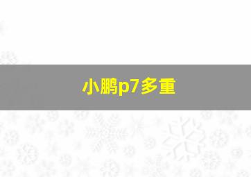 小鹏p7多重