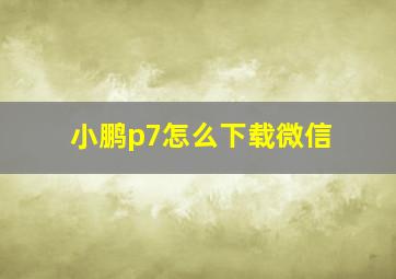 小鹏p7怎么下载微信