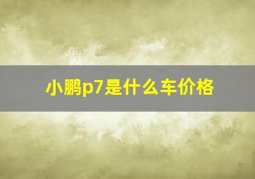 小鹏p7是什么车价格