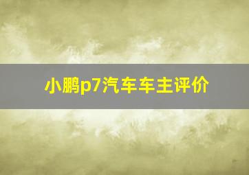 小鹏p7汽车车主评价