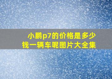 小鹏p7的价格是多少钱一辆车呢图片大全集