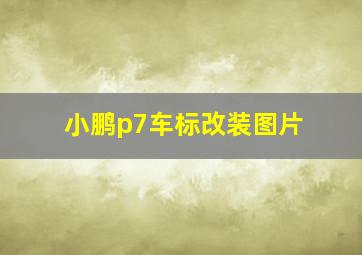 小鹏p7车标改装图片