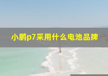 小鹏p7采用什么电池品牌