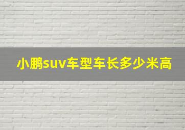 小鹏suv车型车长多少米高