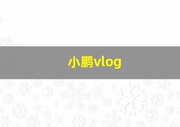 小鹏vlog