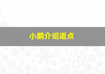 小鹏介绍返点