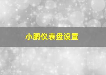 小鹏仪表盘设置