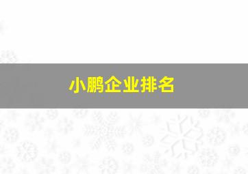 小鹏企业排名