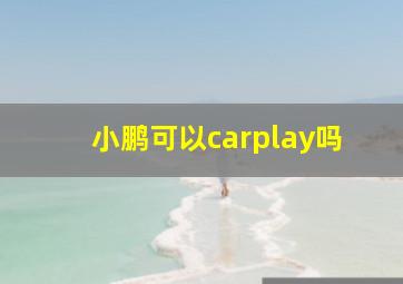 小鹏可以carplay吗