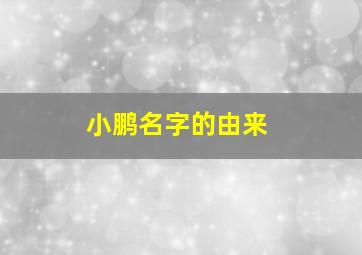 小鹏名字的由来