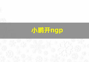 小鹏开ngp