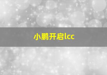 小鹏开启lcc