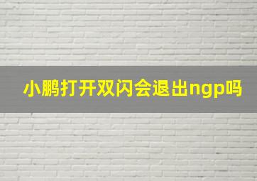 小鹏打开双闪会退出ngp吗