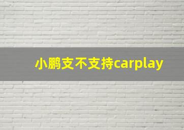 小鹏支不支持carplay