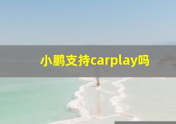 小鹏支持carplay吗