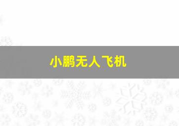 小鹏无人飞机