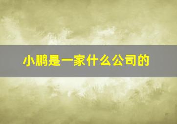 小鹏是一家什么公司的