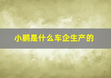 小鹏是什么车企生产的