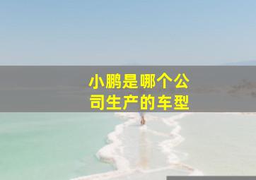 小鹏是哪个公司生产的车型