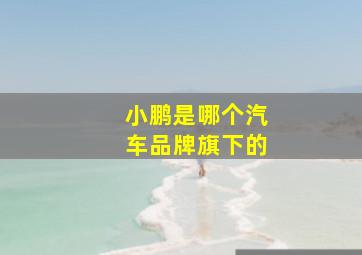 小鹏是哪个汽车品牌旗下的