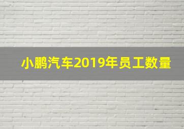 小鹏汽车2019年员工数量