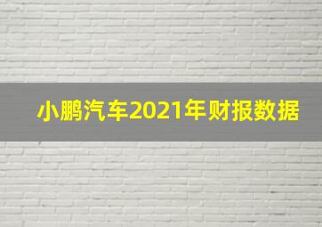 小鹏汽车2021年财报数据