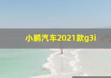 小鹏汽车2021款g3i