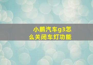 小鹏汽车g3怎么关闭车灯功能