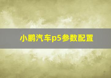 小鹏汽车p5参数配置