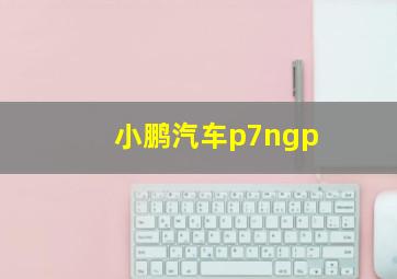 小鹏汽车p7ngp