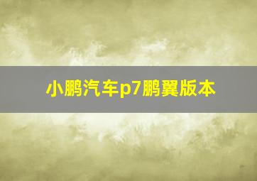 小鹏汽车p7鹏翼版本