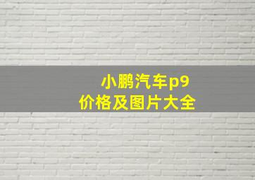 小鹏汽车p9价格及图片大全