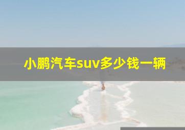 小鹏汽车suv多少钱一辆