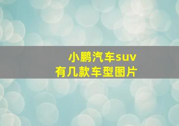 小鹏汽车suv有几款车型图片