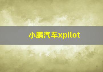 小鹏汽车xpilot