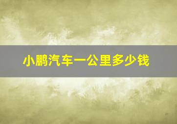 小鹏汽车一公里多少钱