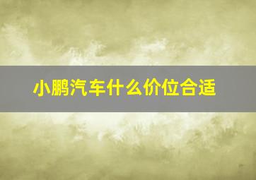 小鹏汽车什么价位合适