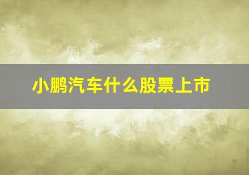 小鹏汽车什么股票上市