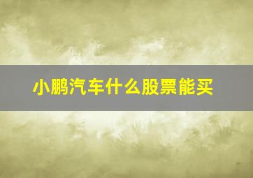 小鹏汽车什么股票能买