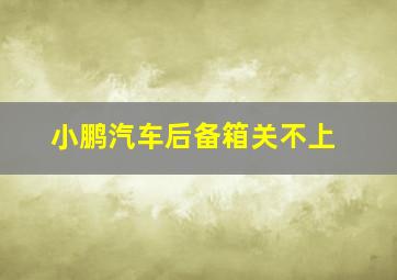 小鹏汽车后备箱关不上