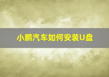 小鹏汽车如何安装U盘