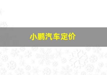 小鹏汽车定价