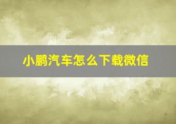 小鹏汽车怎么下载微信