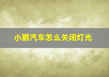 小鹏汽车怎么关闭灯光