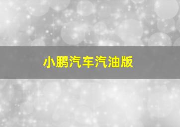 小鹏汽车汽油版