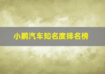 小鹏汽车知名度排名榜