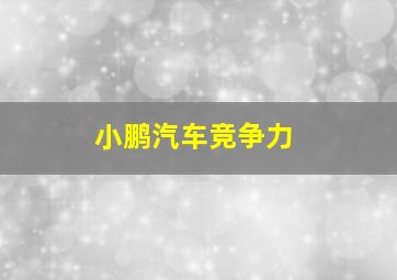 小鹏汽车竞争力